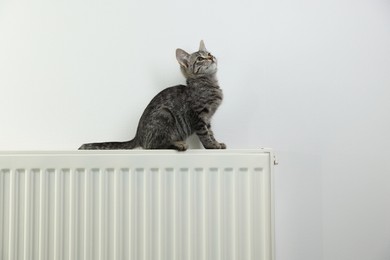 Photo of Cute little kitten on radiator near white wall