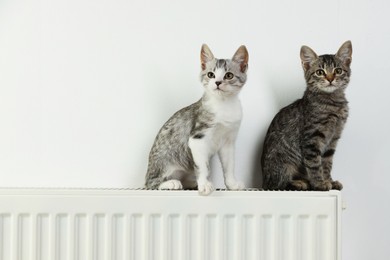 Photo of Cute little kittens on radiator near white wall