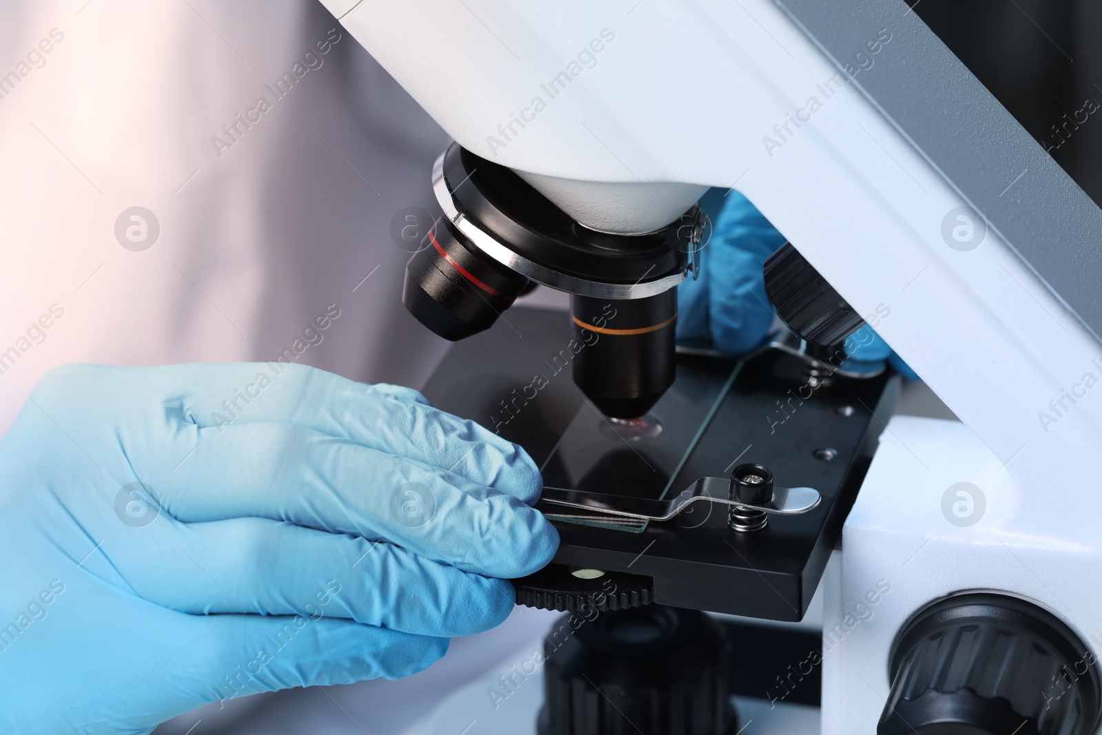 Photo of Scientist examining sample on slide under microscope, closeup