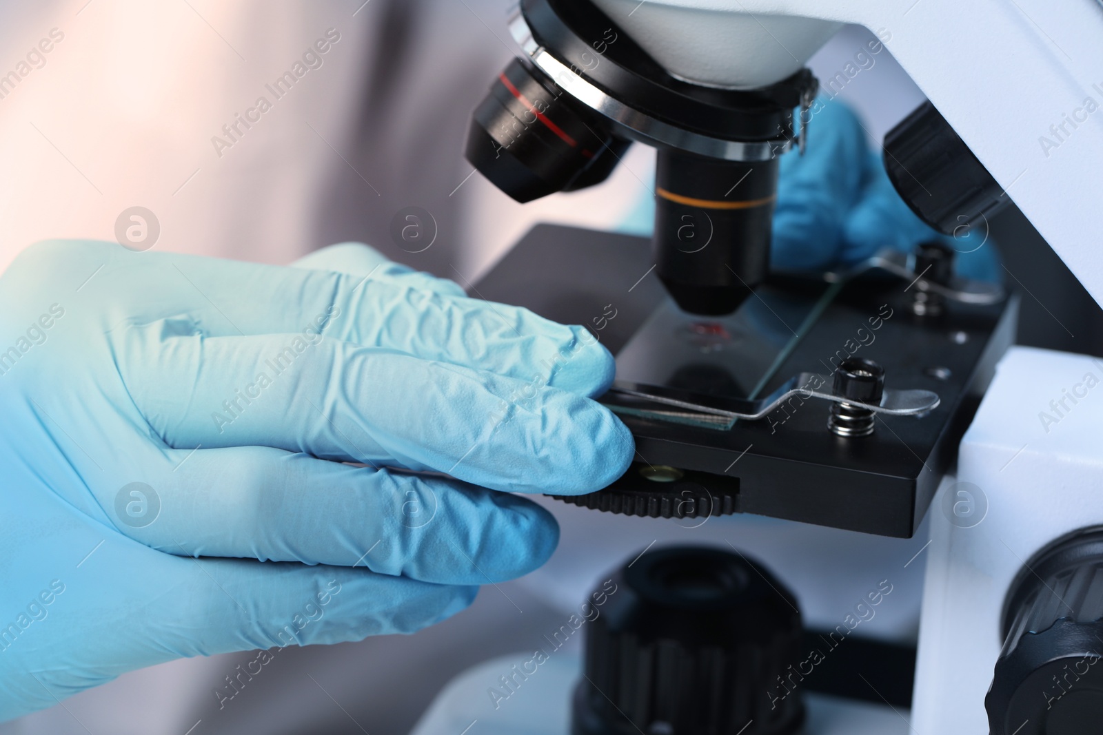 Photo of Scientist examining sample on slide under microscope, closeup