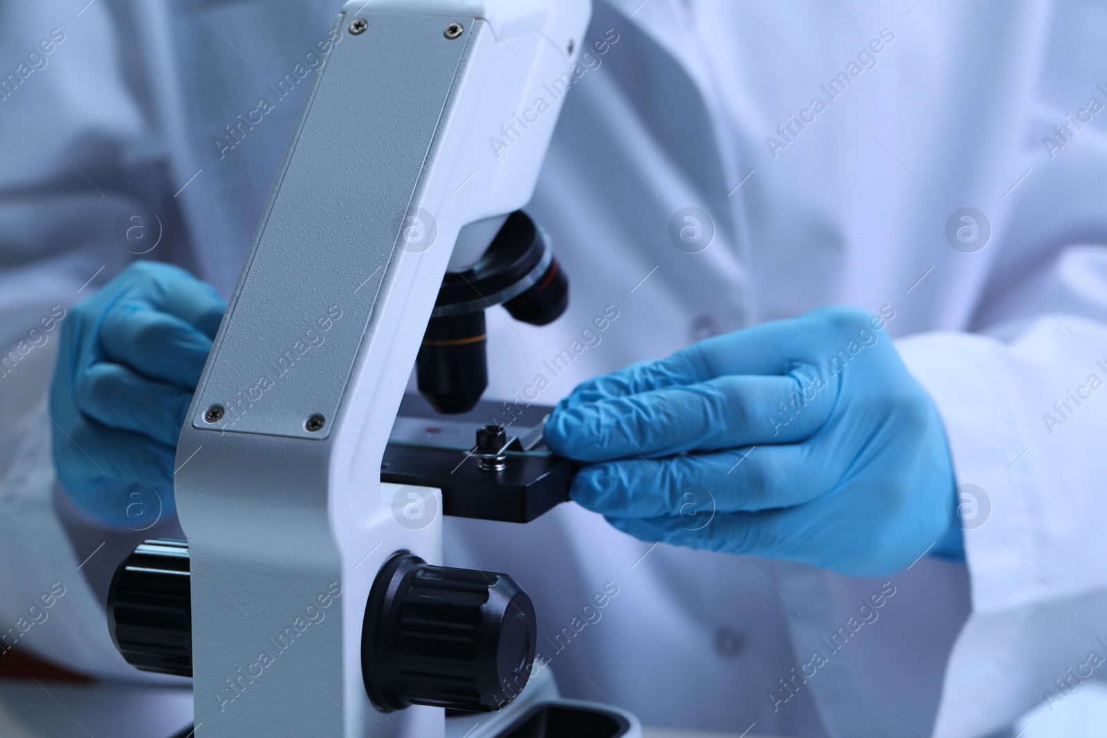 Photo of Scientist examining sample on slide under microscope, closeup