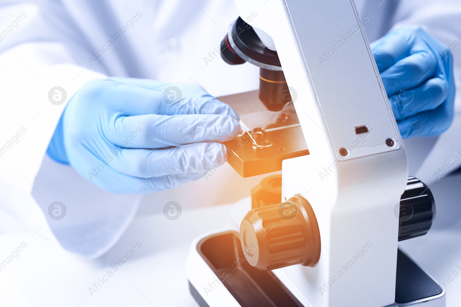 Photo of Scientist examining sample on slide under microscope at table, closeup