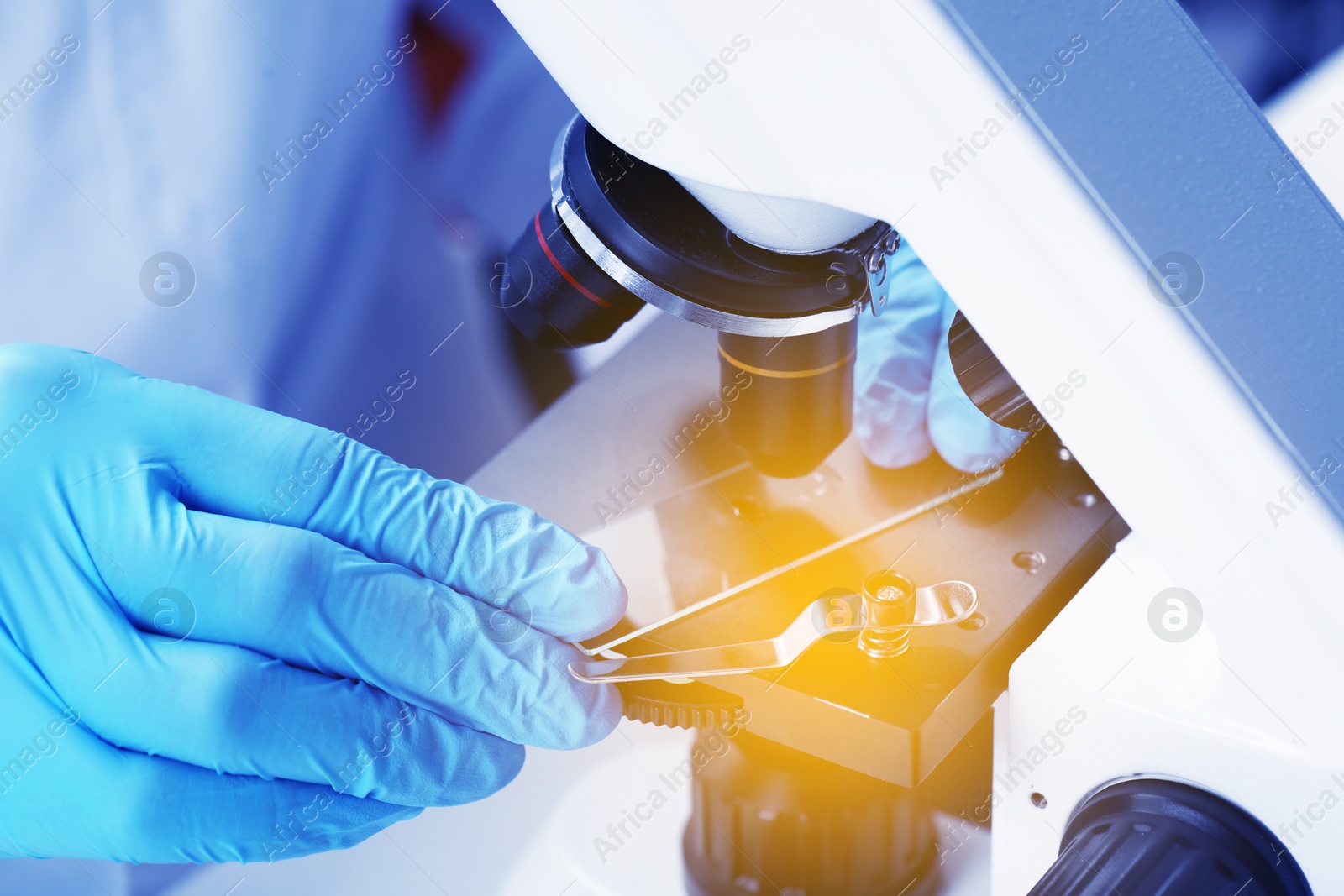 Photo of Scientist examining sample on slide under microscope, closeup