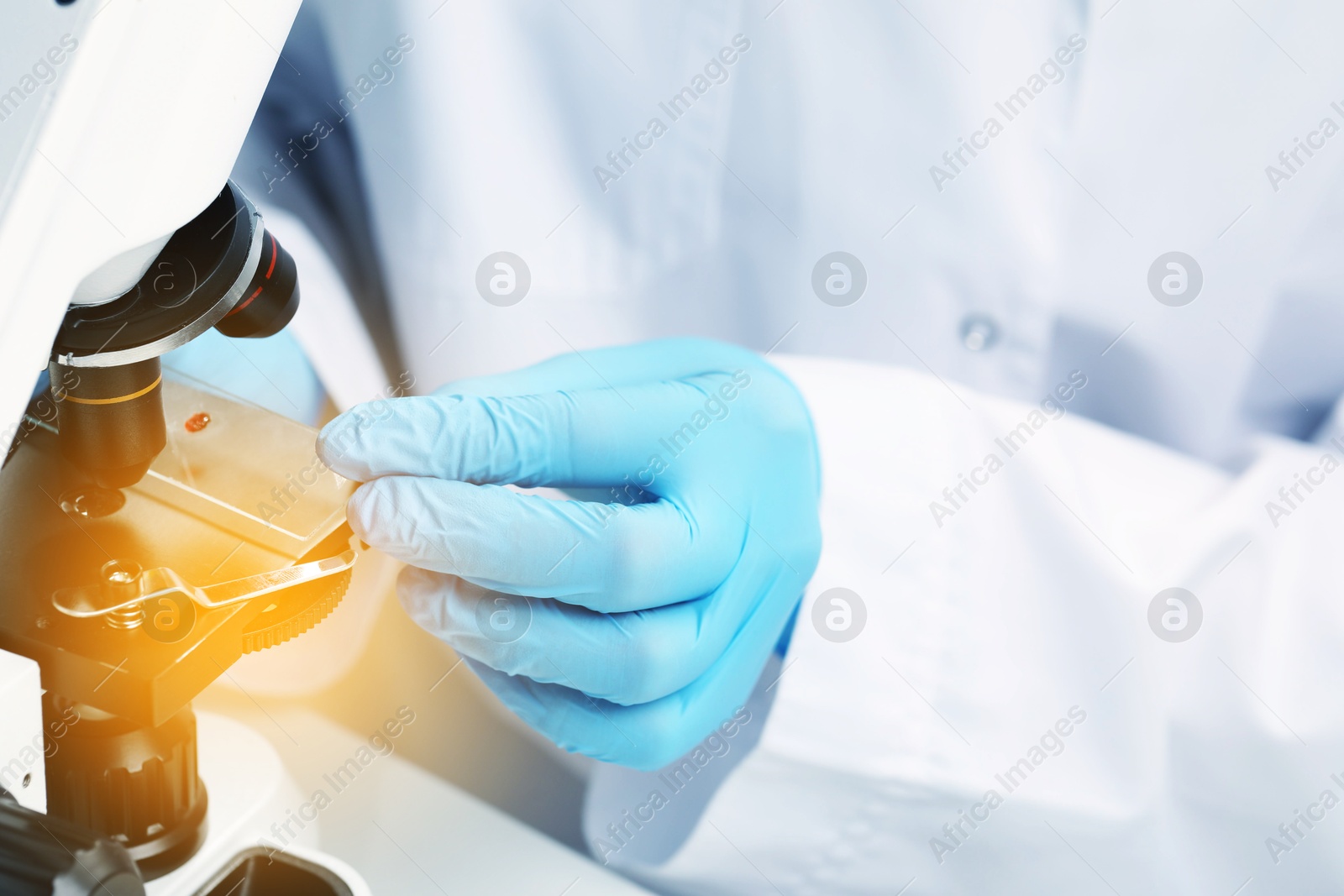 Photo of Scientist examining sample on slide under microscope, closeup