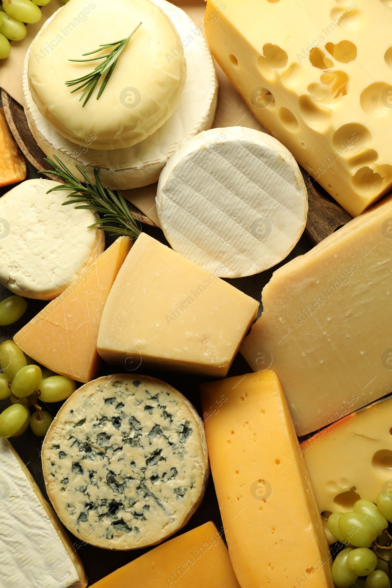 Photo of Different types of cheese, rosemary and grapes on table, top view