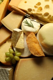 Photo of Different types of cheese, rosemary and grapes on table, top view