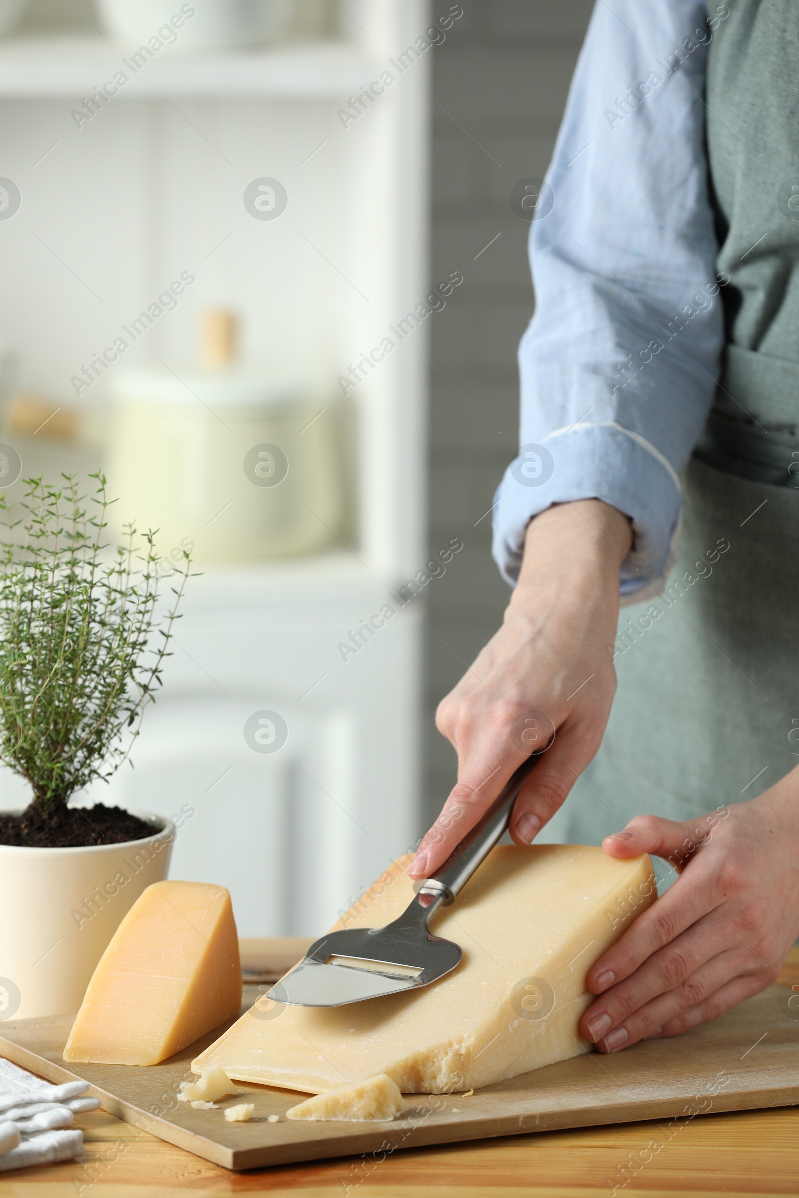 Photo of Woman cutting delicious cheese with slicer at wooden table indoors, closeup