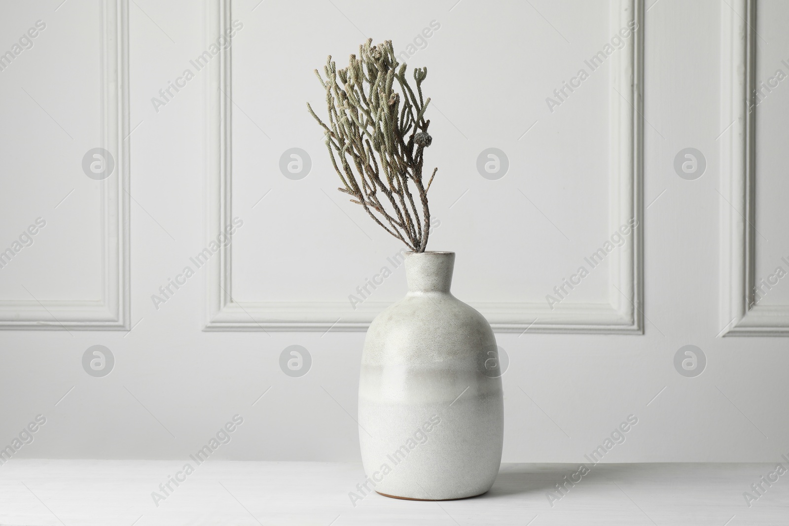 Photo of Stylish vase with brunia plants on white table