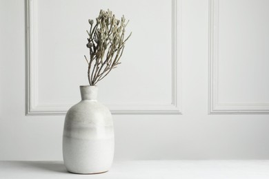 Photo of Stylish vase with brunia plants on white table, space for text