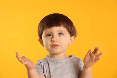 Photo of Portrait of cute little boy on yellow background