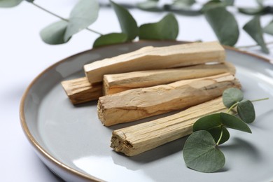 Photo of Palo santo sticks and eucalyptus branches on white background, closeup