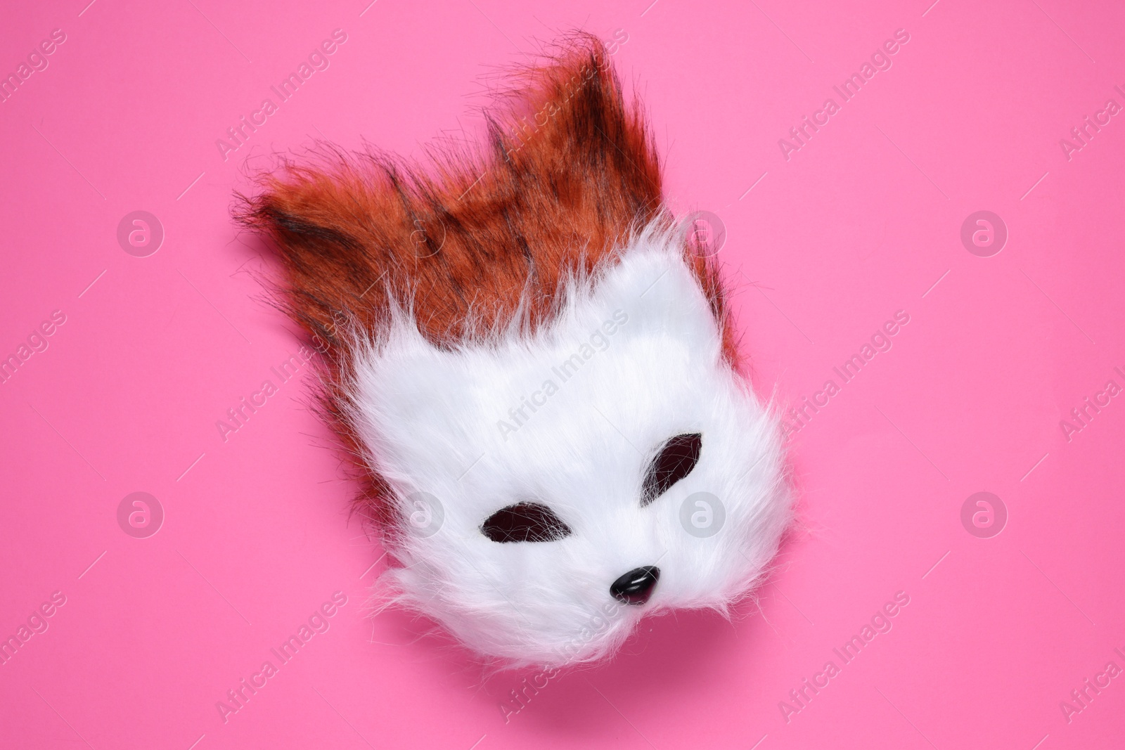 Photo of Quadrobics. Fox and cat masks on pink background, top view