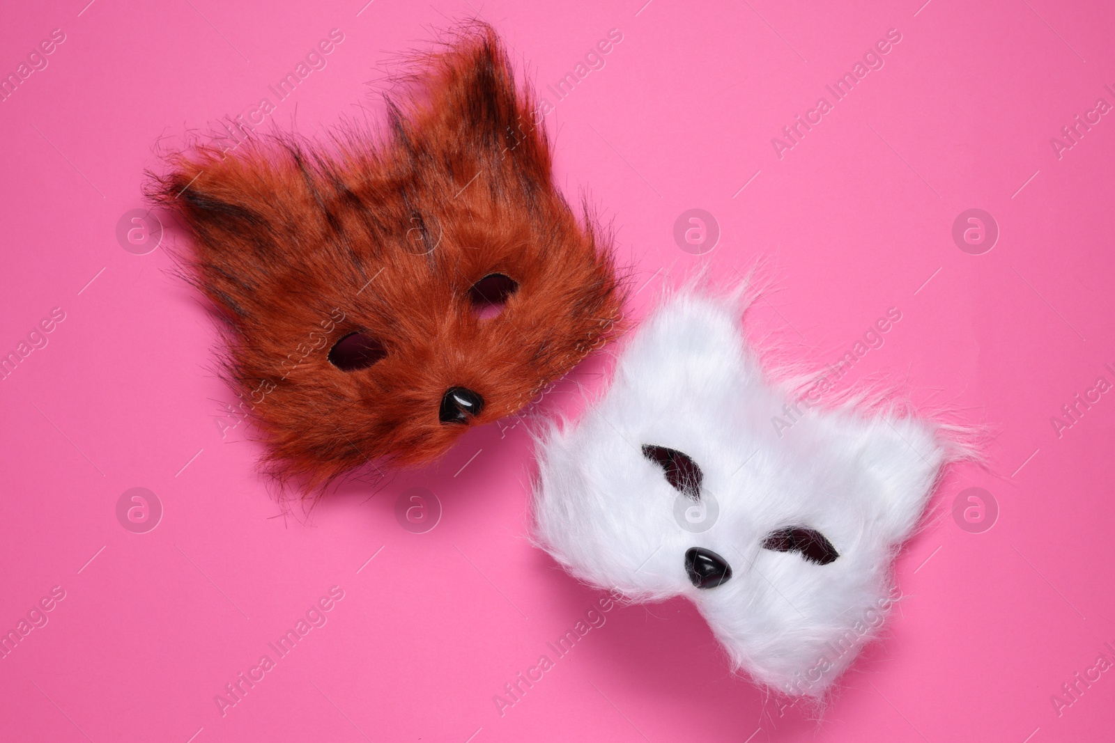 Photo of Quadrobics. Fox and cat masks on pink background, top view