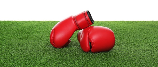 Photo of Boxing gloves on green grass against white background. Sport equipment