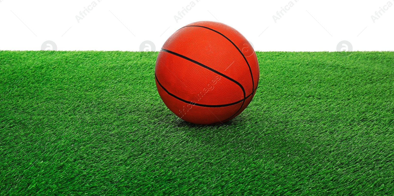 Photo of One basketball ball on green grass against white background. Sport equipment