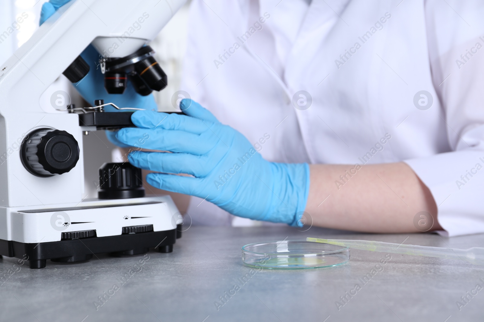 Photo of Laboratory testing. Scientist examining sample under microscope at grey table indoors, closeup