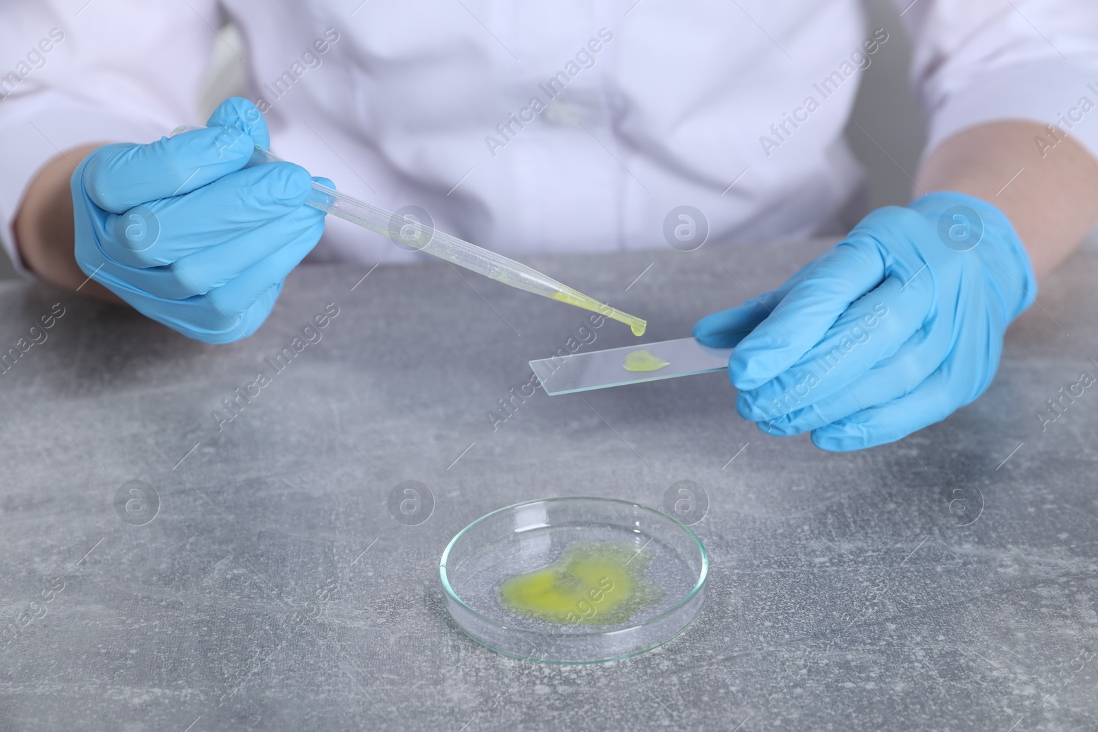 Photo of Laboratory testing. Scientist dripping sample onto slide at grey table indoors, closeup