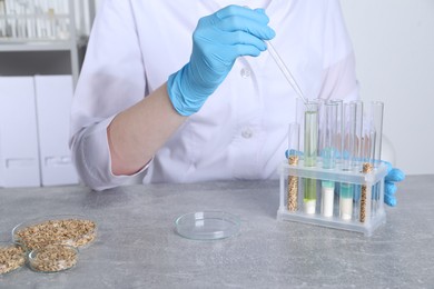 Photo of Laboratory testing. Scientist dripping sample into test tube at grey table indoors, closeup