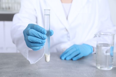 Photo of Laboratory testing. Scientist with test tube of sample at grey table indoors, closeup