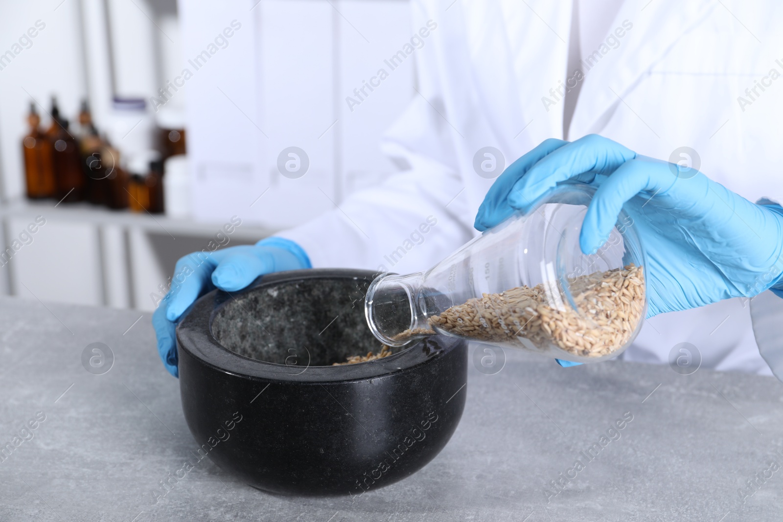 Photo of Laboratory testing. Scientist pouring oat grains into mortar at grey table indoors, closeup