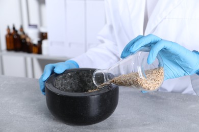 Photo of Laboratory testing. Scientist pouring oat grains into mortar at grey table indoors, closeup