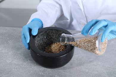 Photo of Laboratory testing. Scientist pouring oat grains into mortar at grey table indoors, closeup