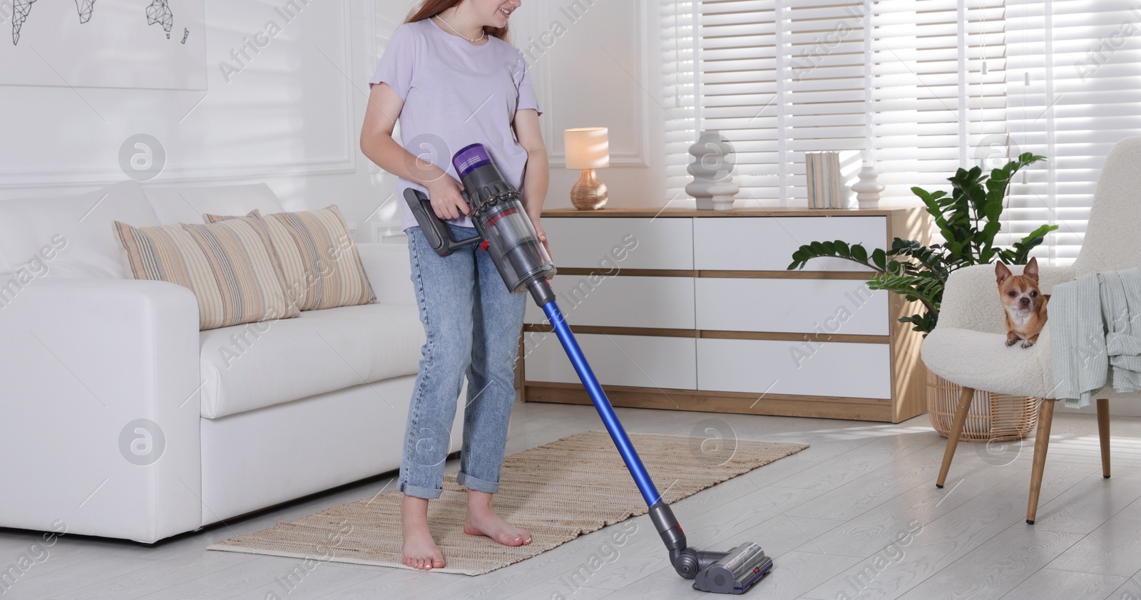 Photo of Teenage girl cleaning floor with cordless vacuum cleaner and her cute Chihuahua dog sitting in armchair at home, closeup