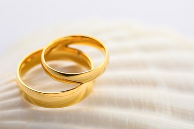 Photo of Beautiful golden wedding rings on sea shell against light background, closeup. Space for text