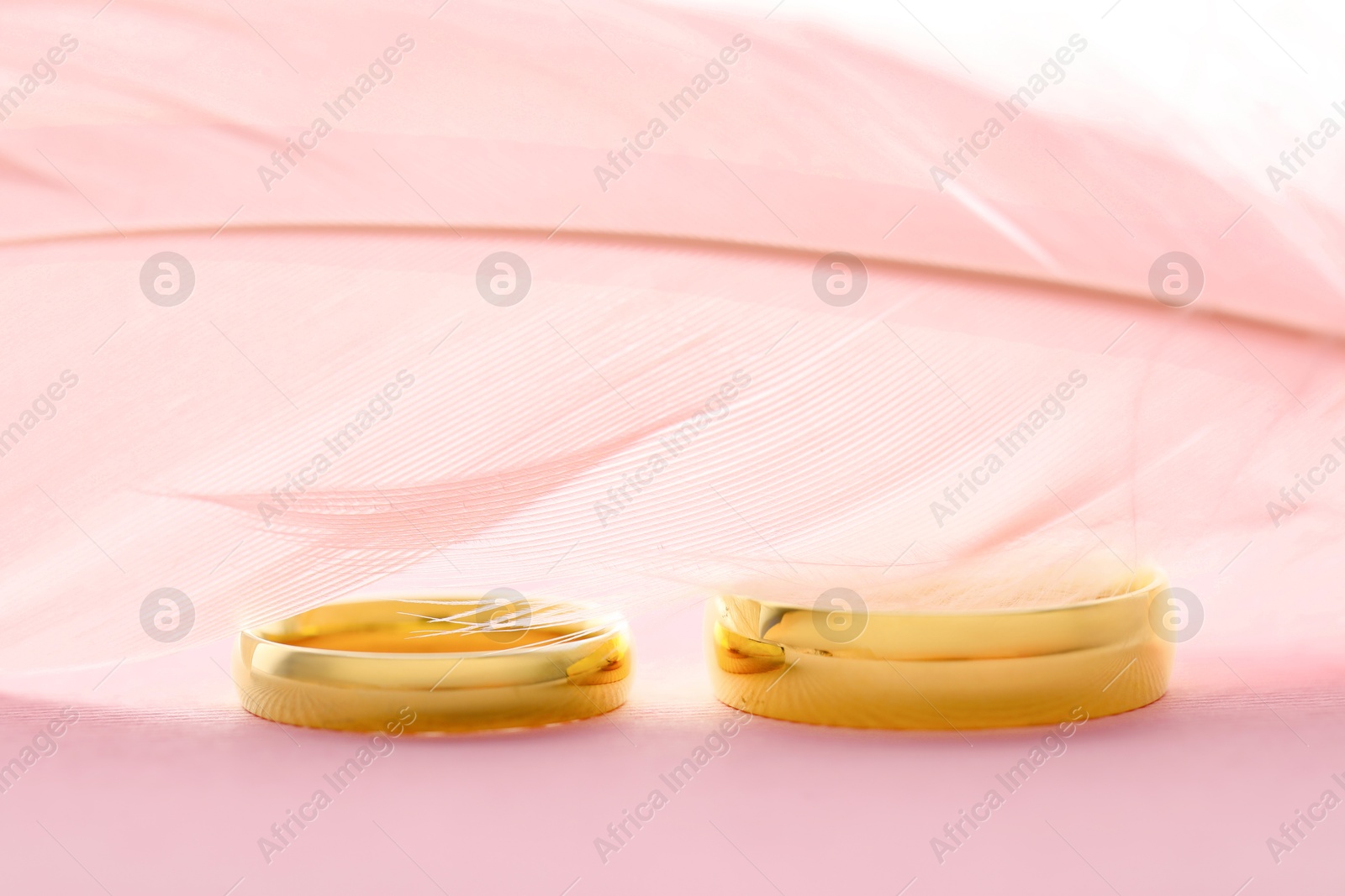 Photo of Beautiful golden wedding rings and feather on pink background, closeup