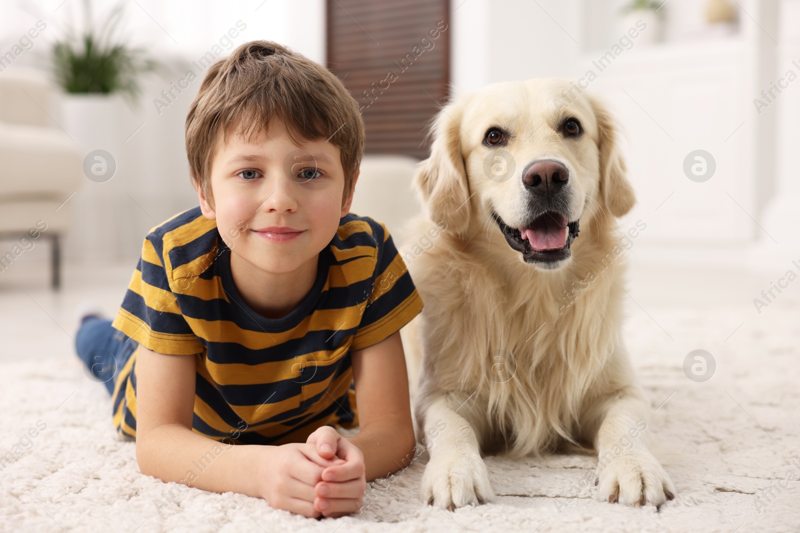 Photo of Boy with his cute dog at home