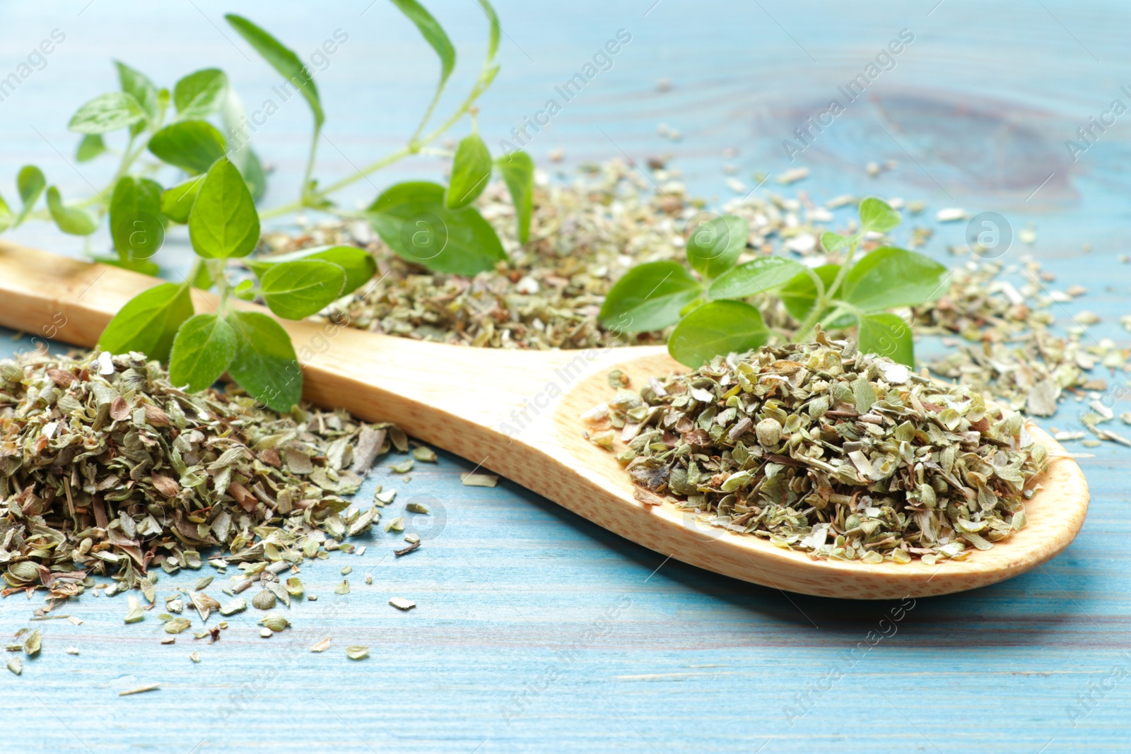 Photo of Dried oregano in spoon and green leaves on light blue wooden table, closeup