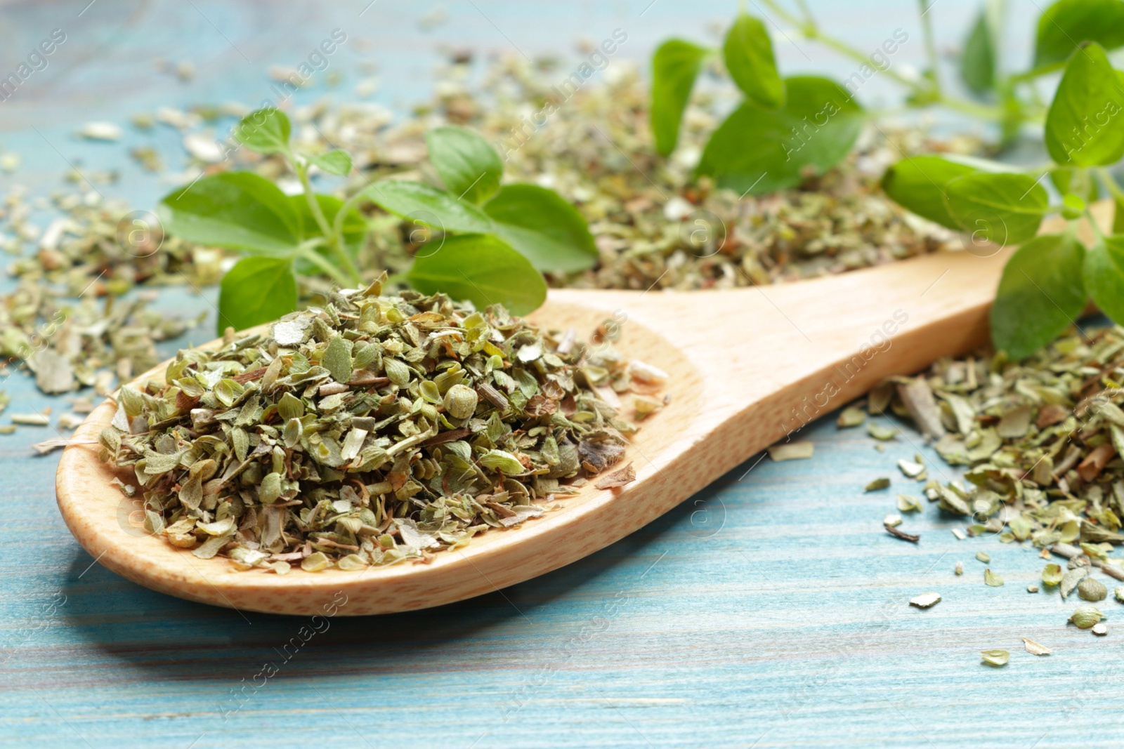 Photo of Dried oregano in spoon and green leaves on light blue wooden table, closeup