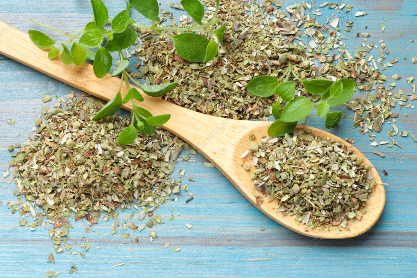 Photo of Dried oregano in spoon and green leaves on light blue wooden table, closeup