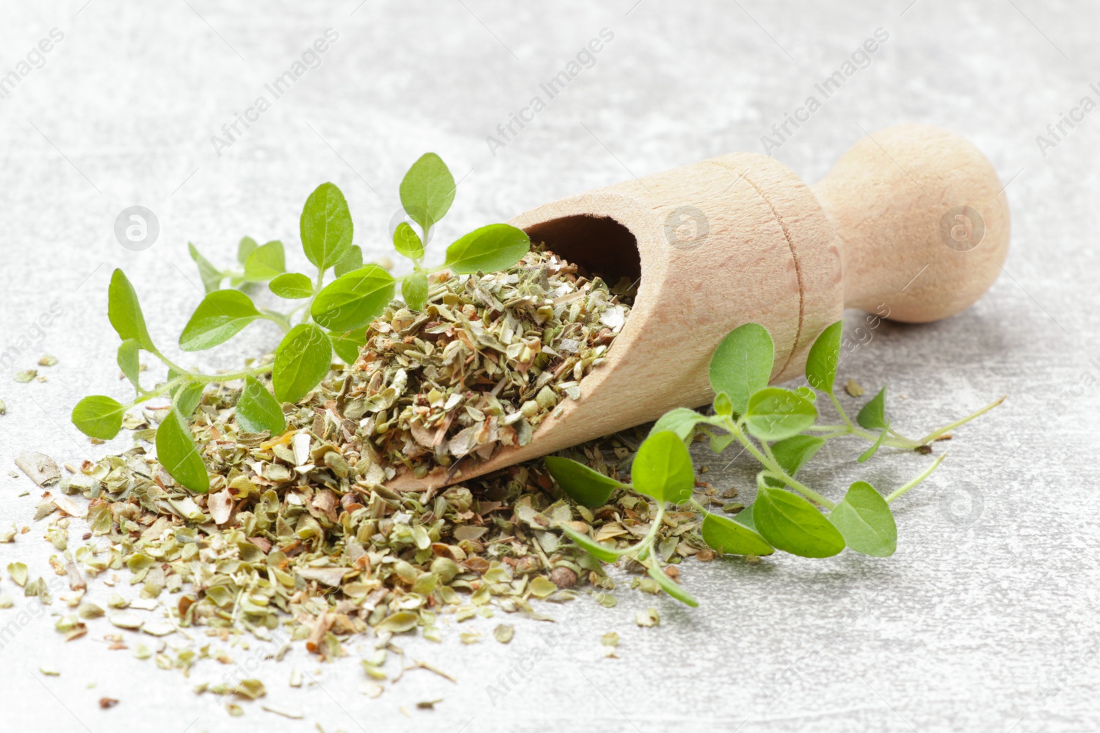 Photo of Dried oregano in scoop and green leaves on light grey table, closeup