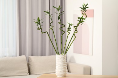 Photo of Beautiful decorative bamboo plant in vase on table indoors