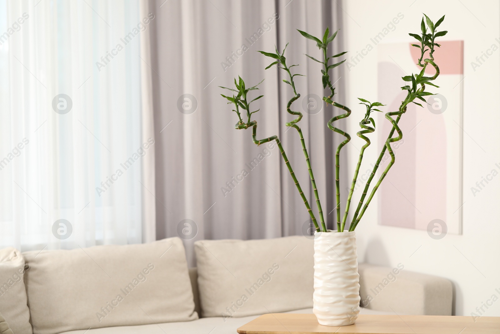 Photo of Beautiful decorative bamboo plant in vase on table indoors, space for text