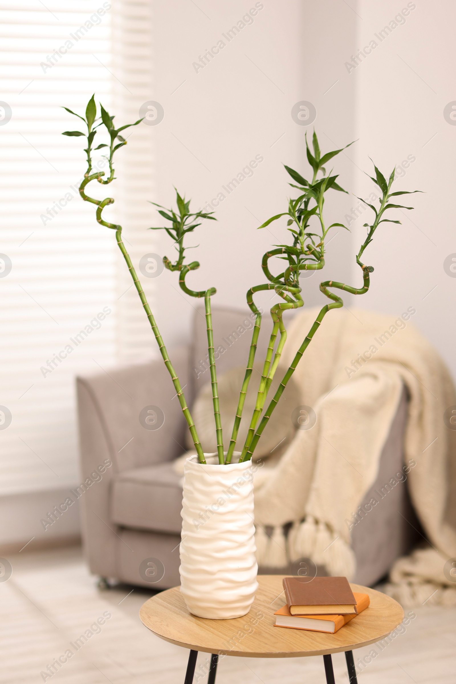 Photo of Beautiful decorative green bamboo plant in vase and books on wooden table indoors