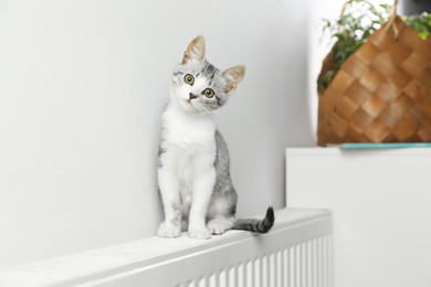 Photo of Cute little kitten on radiator at home