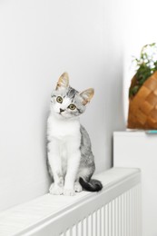 Photo of Cute little kitten on radiator at home