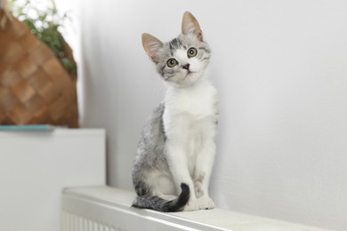 Photo of Cute little kitten on radiator at home