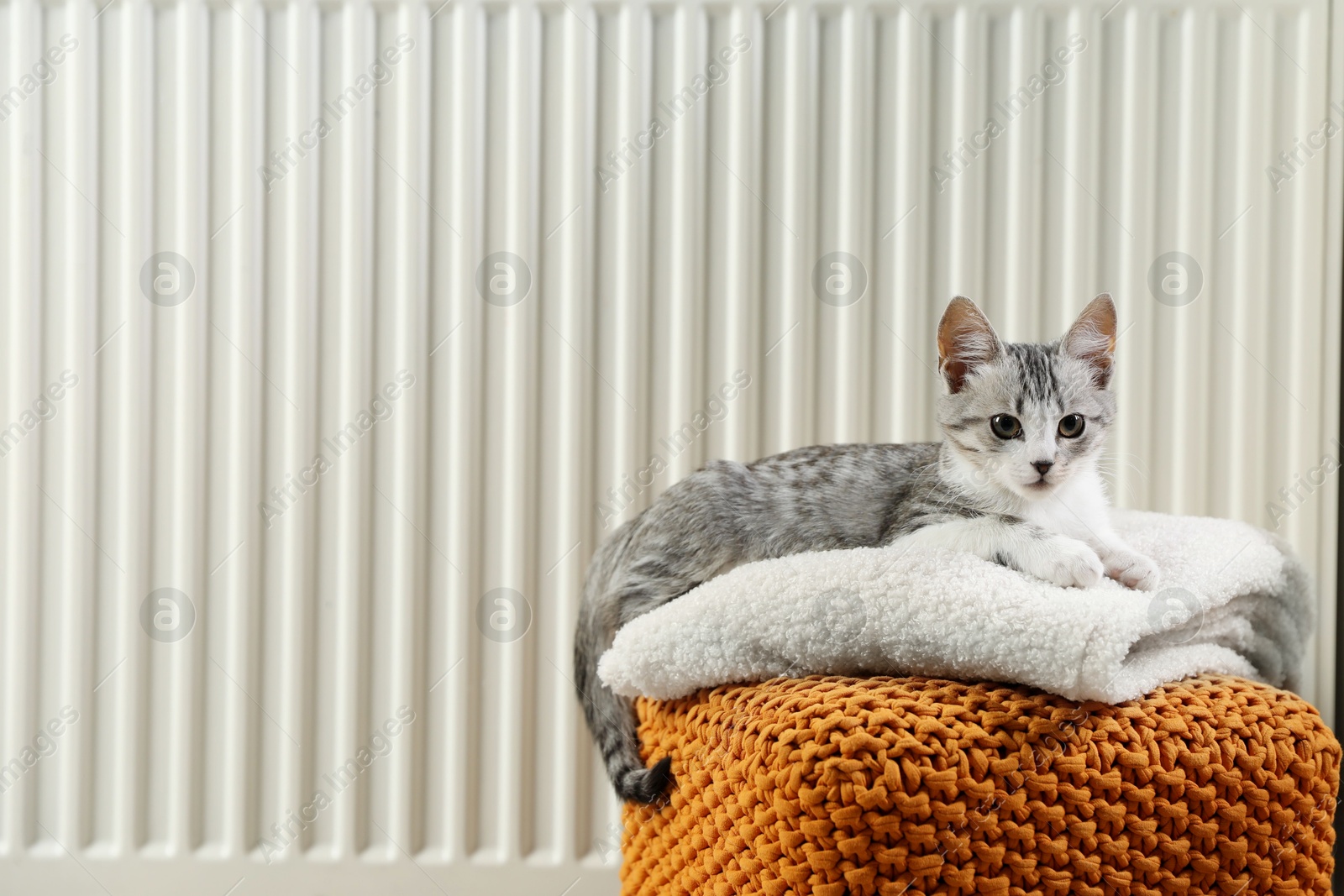 Photo of Cute little kitten on pouf near radiator at home, space for text