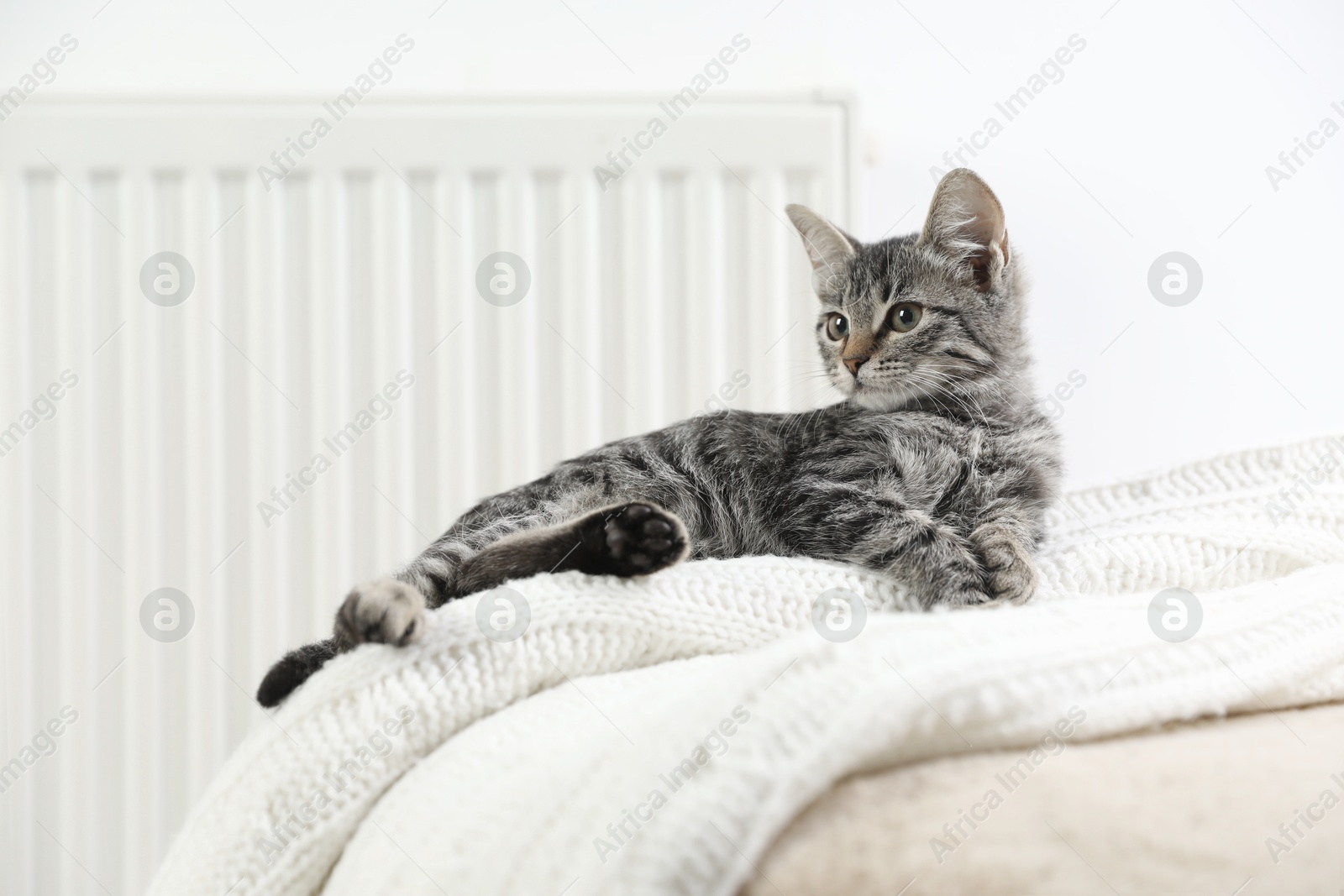 Photo of Cute little kitten on pouf near radiator at home