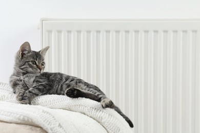 Photo of Cute little kitten on pouf near radiator at home, space for text