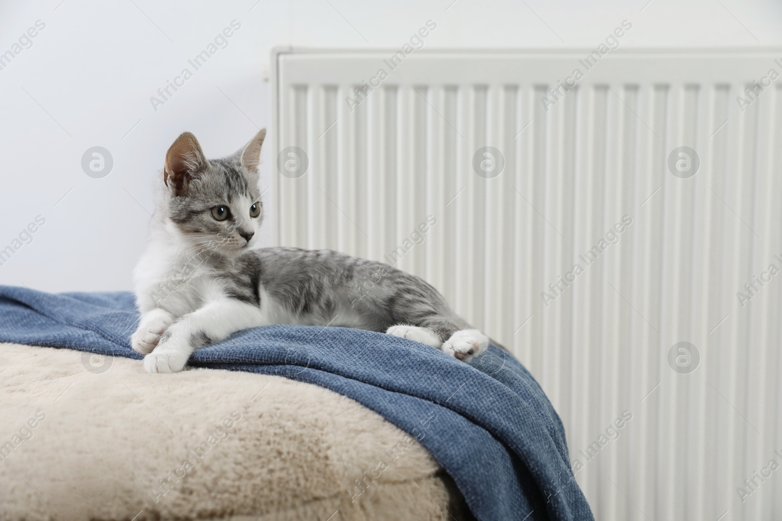 Photo of Cute little kitten on pouf near radiator at home