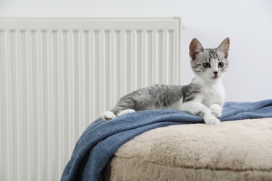 Photo of Cute little kitten on pouf near radiator at home