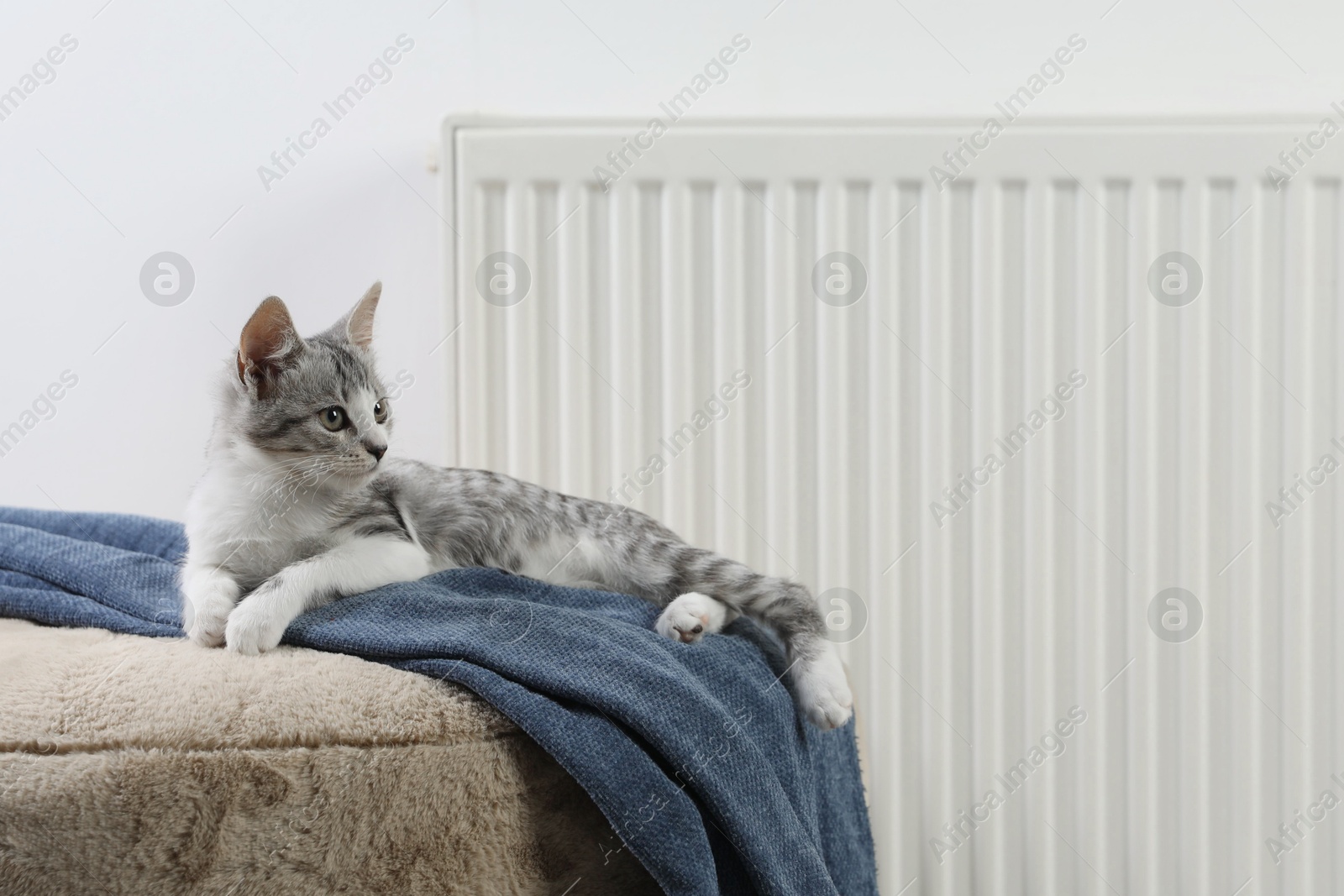 Photo of Cute little kitten on pouf near radiator at home, space for text