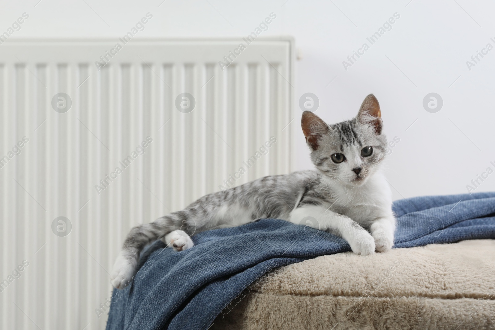 Photo of Cute little kitten on pouf near radiator at home