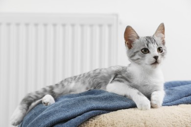 Photo of Cute little kitten on pouf near radiator at home