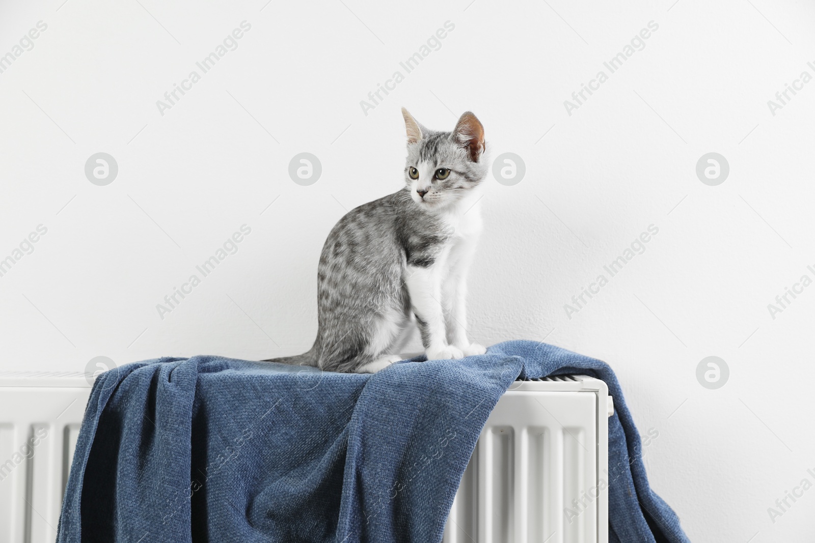 Photo of Cute little kitten on radiator at home