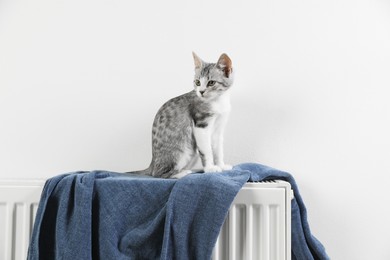 Photo of Cute little kitten on radiator at home